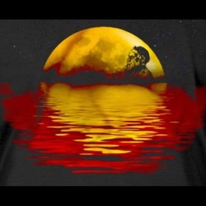 Meet your Posher, Noel